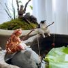 1Pc Fishing Cat Ornaments Aquarium Decor Fish Landscaping Cartoon Fishing Cat Statue Mini Resin Figurine Home Decoration