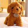 Teddy Dog Plush Toy Doll Puppy Doll Cute Poodle Gift for Children