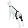 Hinterbein Kniebandage für Hunde: Haustier-Reha und Gelenkschutz
