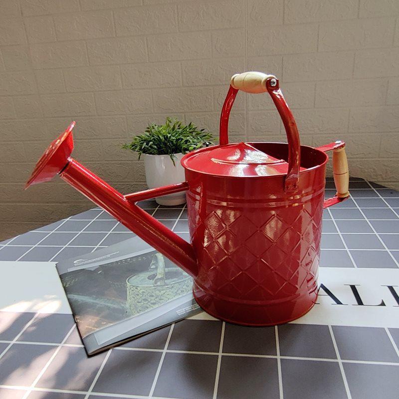 Large-Capacity Dual-Use Iron Watering Can: Ideal for Home Flower Care, Vegetable Planting, and Gardening Spraying.