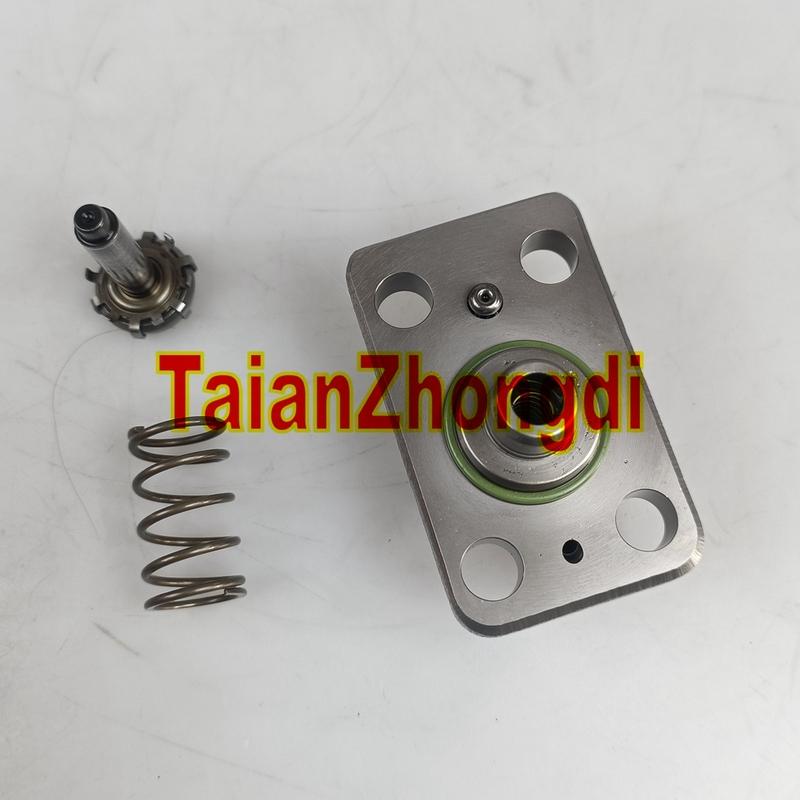 Genuine F01M101781 Fuel Pump Plunger for CP1 CP1H CP1H3 Pump F01M100869