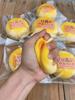 Juguetes Blanditos Simulación Súper Grande Bollo de Leche Juguetes Antiestrés Húmedos Ascenso Lento Juguete para Apretar Regalos para Ansiedad Niños Adultos Diversión Juguetes para Niñas
