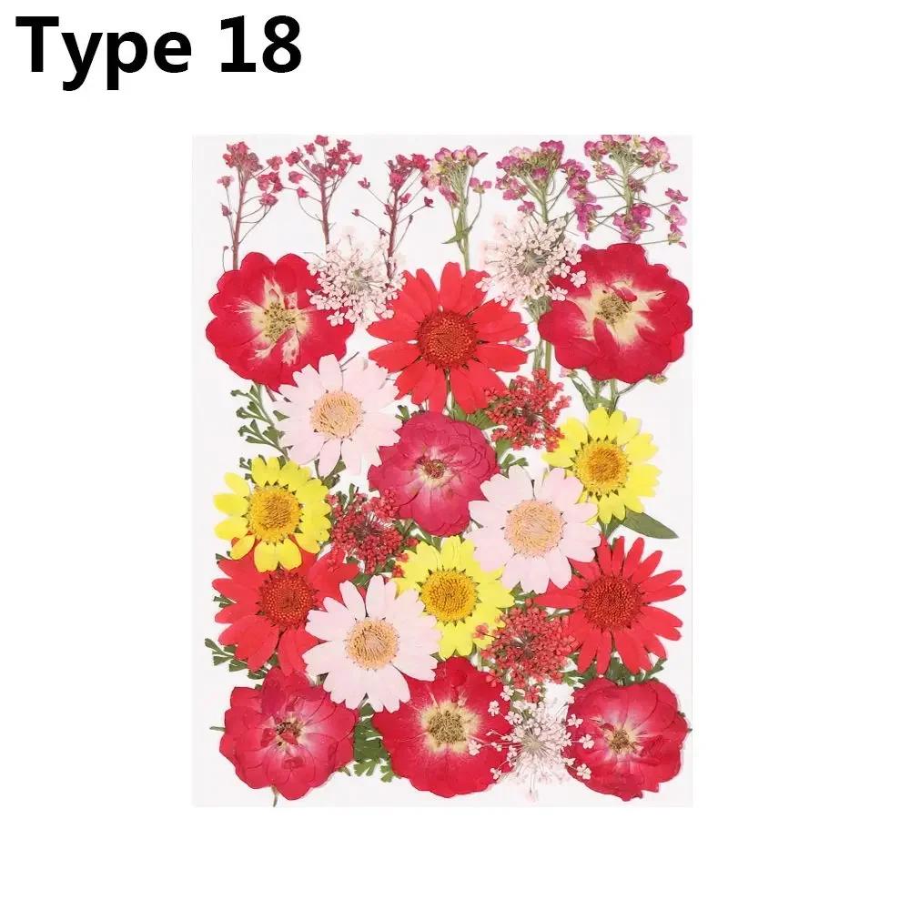 Dried Flowers UV Resin Decorative Natural Flower Stickers 3D Pressed Dried Flowers Beauty Decal Nail Art Epoxy Mold Filling