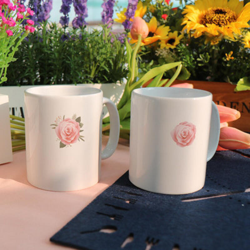 tb983-Design Mug 2p-Rose