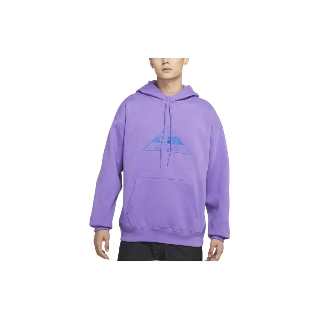 Nike Sweatshirts Unisex Active Grape Purple Hooded Moderate Regular DR1039-542