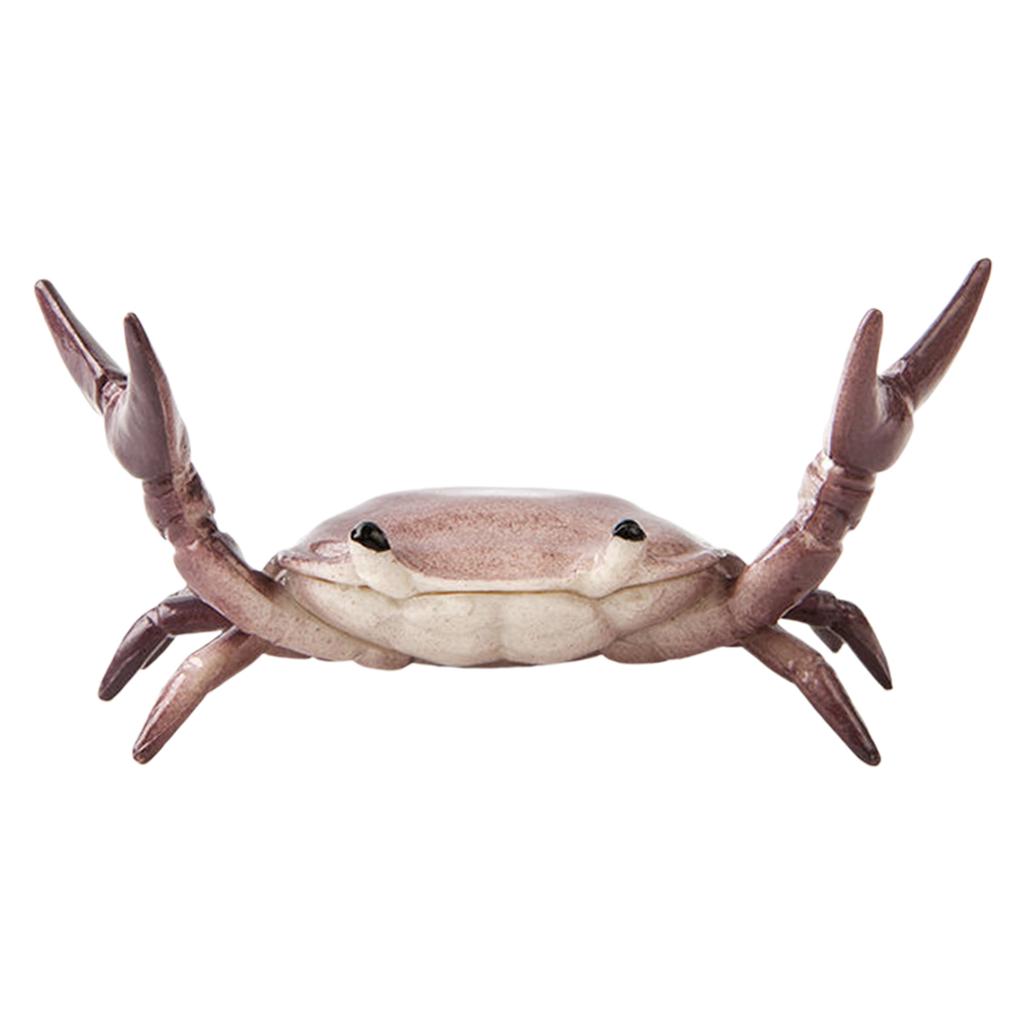 Novelty Easy to Hold Useful Weightlifting Crab Pen Holder Bright Color Crab Pen Holder Simulation for Students Office Home
