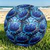 Chelsea Football Club Print Size 5 Soccer Ball, PU Wear Resistant Football for Match Training and Daily Practice, Birthday Gift for Soccer Fans