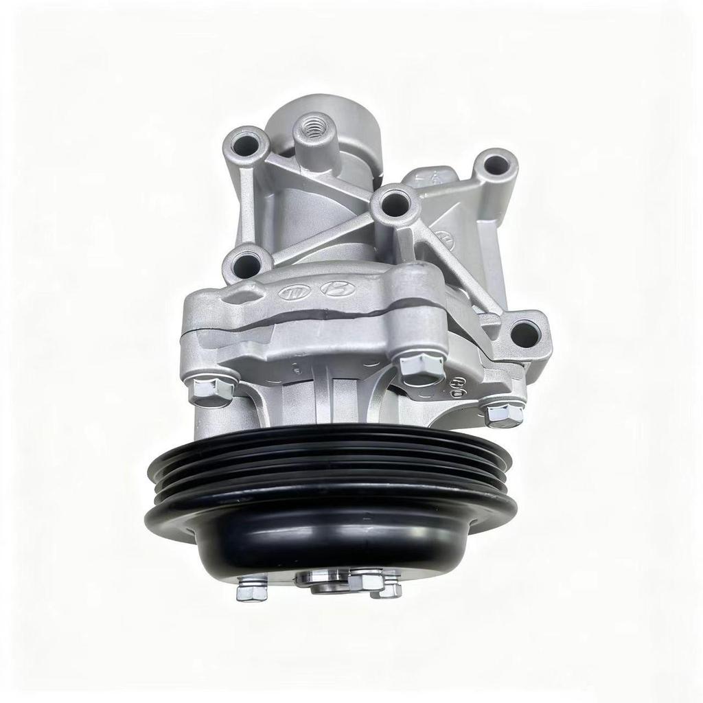 Water Pump Assembly for Hyundai Santa Fe/Kia Sorento Engine (Part# 25100-2GTA0)