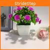Simulated Eighteen Flowers Daisy Pine Cone Artificial Green Plant Plant Potted
