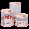Deou Xingguang 6-inch Double-Layer Round Transparent Cake Boxes (5 Sets)
