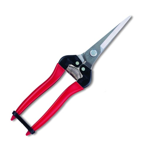 

ARS Corporation Extra Long Stainless Steel Fruit Thinning Shears (Blister Pack) 300LL-DX-BP