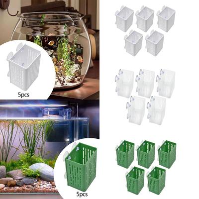 Pești și animale marine – Decorul acvariului