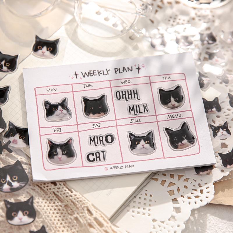 Mr. Paper Cat Head Series Cute Cartoon Stickers, 4 Types