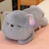 Sleeping Cat Throw Pillow Plush Toy Doll Cat Doll Children Soothing Rag Doll Birthday Gift