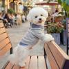 Soft Pet Dog Hoodie Preppy Style Two Legs Dog Clothes Casual Style Dog Pullover  Outdoor Activities