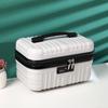 16 Zoll Reisekoffer Mini Hand-Make-up-Koffer Reise-Organizer Kosmetikbox Für Frauen Make-up-Koffer Passwortbox Bordgepäckkoffer