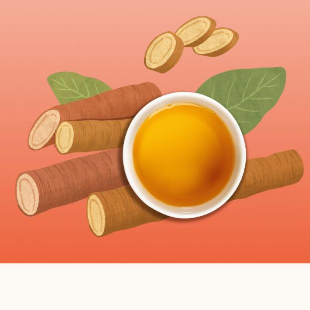 DANONGWON Burdock Tea 100 Tea Bags