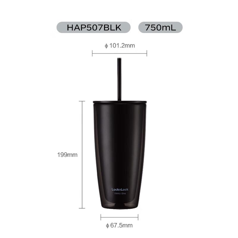 LocknLock Double-Layer Straw Water Bottle