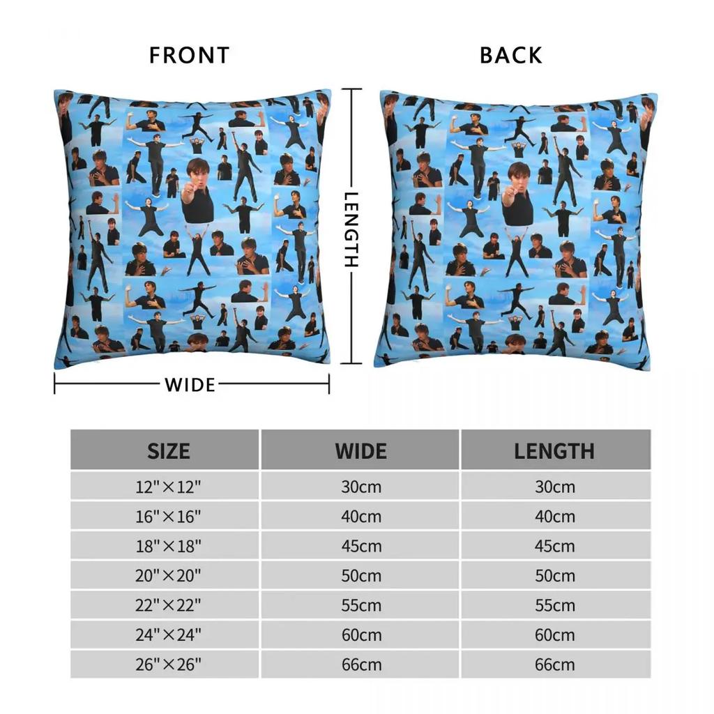 Zac Efron Troy Bolton Bet On It High School Musical Pillowcase Meme Backpack Cushion For Garden Chair Hug Pillowcase Decorative