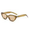 Fashion Hip-hop Small Cat Eye Sunglasses Fashion Women Eyeglasses with Retro Style Shades Glasses