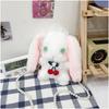 Kawaii Bunny Plush Small Bag With Inner Zipper Pocket For Street Fashion