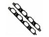 BMW 7 Series, 6 Series, X5 (E65, E53, E60, E66) Intake Manifold & Runner Gasket