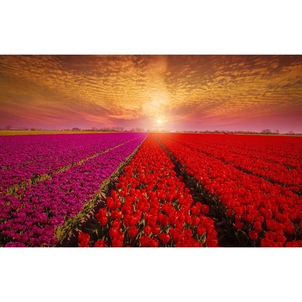 5D Full Round Diamond DIY Landscape Diamond Painting Cross Stitch Windmill Lavender Garden Rhinestone Embroidery Home Decoration