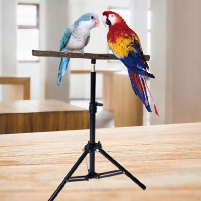 Wooden Parrot Perch Height Adjustable Tripod Interactive Toy Floor Stand Pet Accessories for