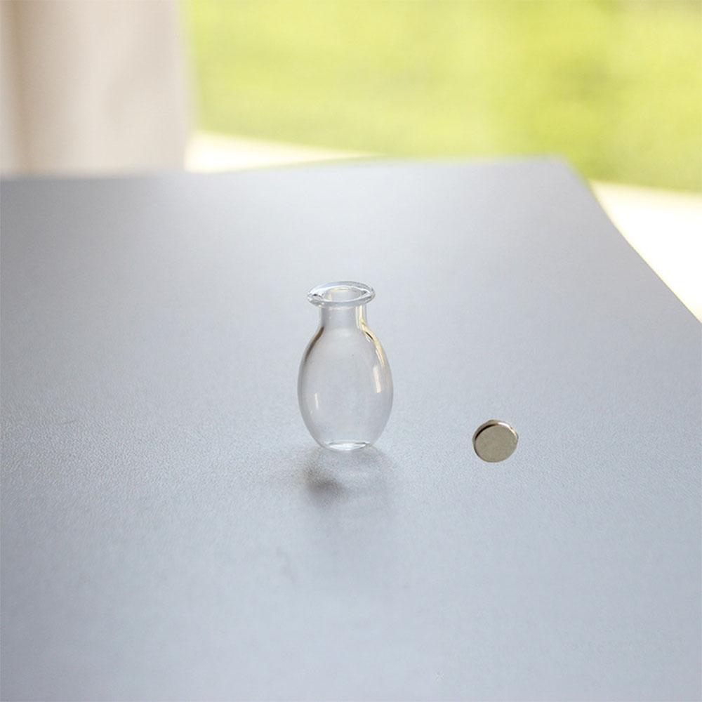 

1Pc Cat Whiskers Mini glass Vases Magnetic Tiny Vases Refrigerator Decor Small Plant Kitchen Office Cat Dog Whisker Holder gift прозрачный
