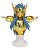 Saint Seiya Cloth Myth APPENDIX Aquarius Camus