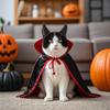 Halloween Dog Costumes Funny Vampire Cat Transformation Costumes Creative Dog Dress Up Clothes Pet Costumes