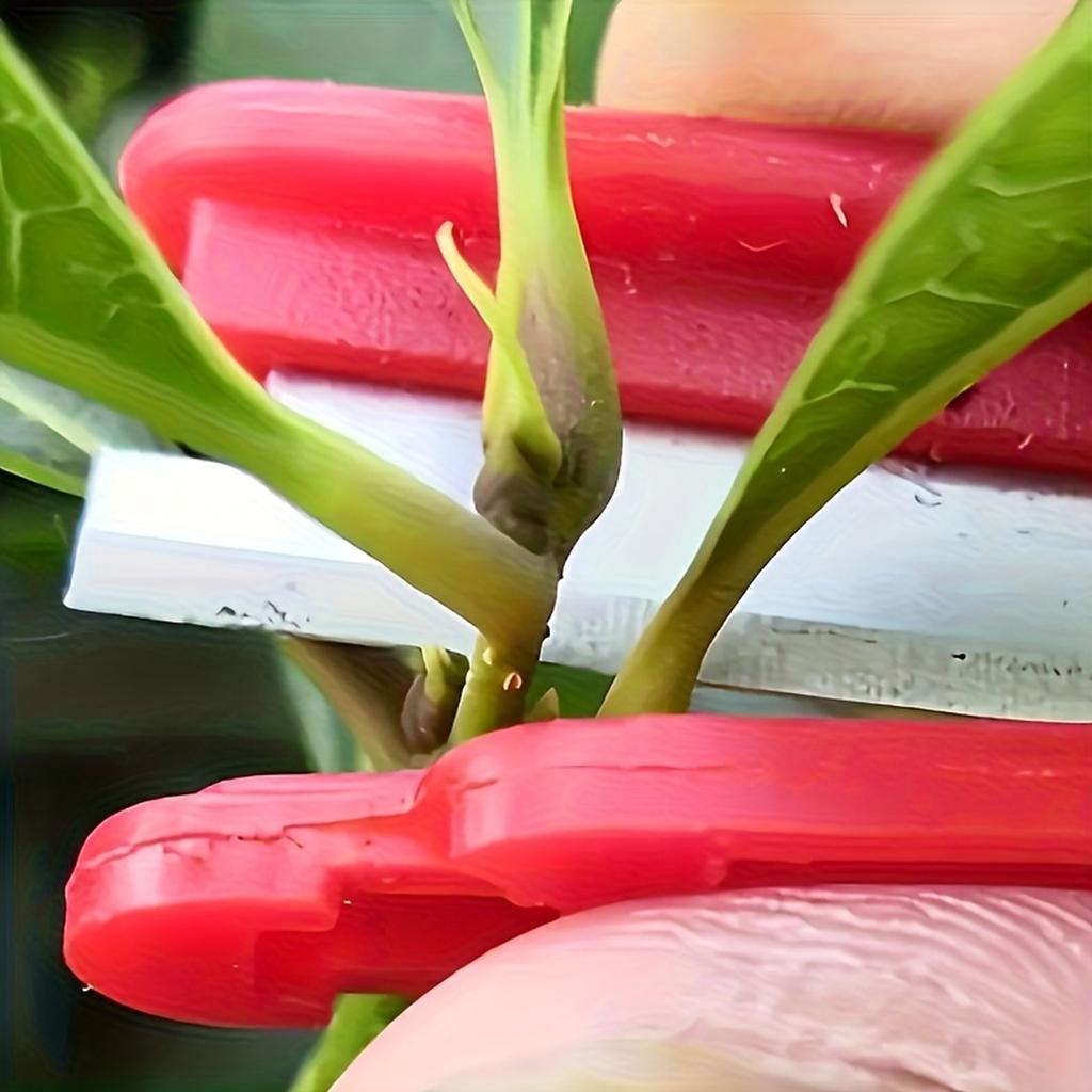 Gartenschere zum Beschneiden für die Ernte von Gurkenspitzen - Daumen mit ergonomischem Griff für einfache Handhabung