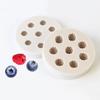Food Grade Silicone Mold Blueberry Raspberry Mulberry Fruit Sugar Coated Chocolate Clay DIY Handmade Dropper Mold