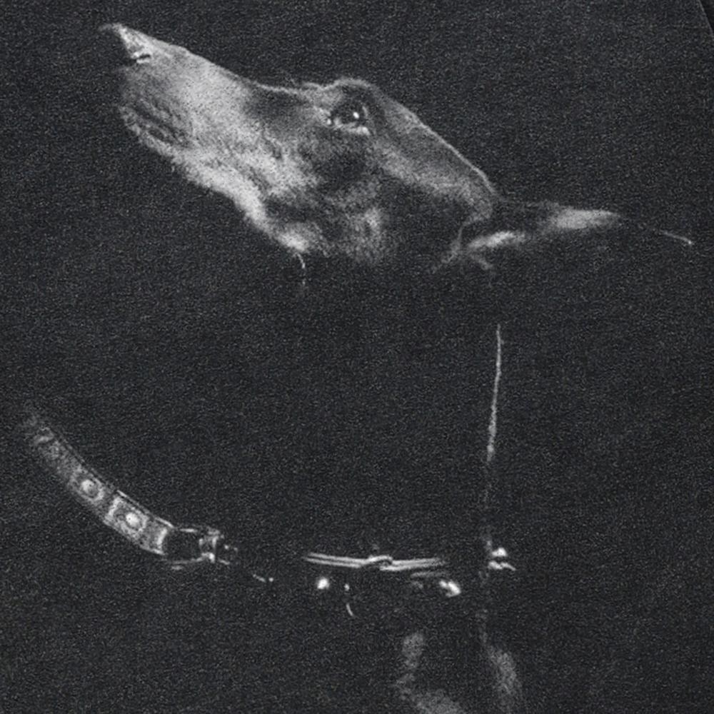 Streetwear Dobermann Grafik Unisex T-Shirt Baumwolle gewaschen schwarz T-Shirt Unisex Tops Tees Sommer kurze Ärmel T-Shirt