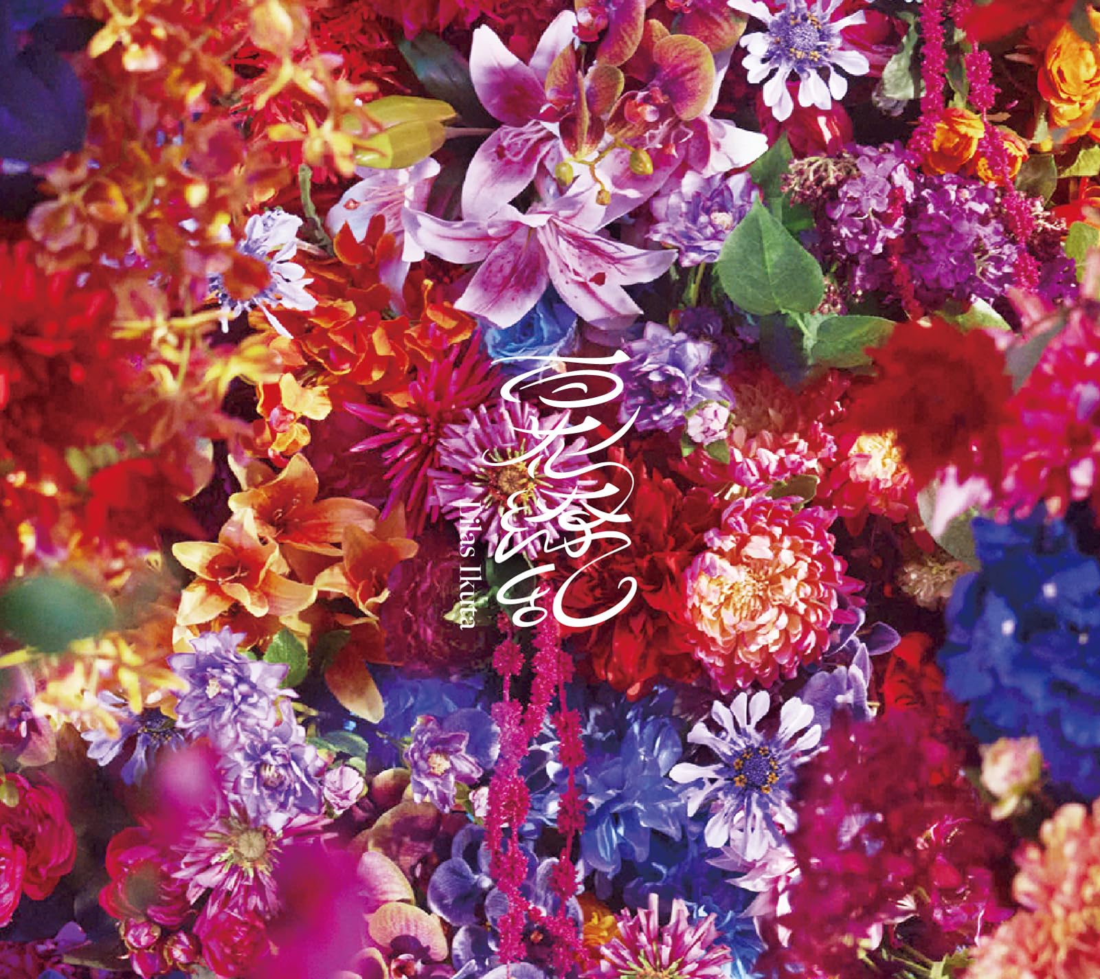 

Hyakka Ryoran production limited mega jacket edition (first edition) (with (regular pattern))