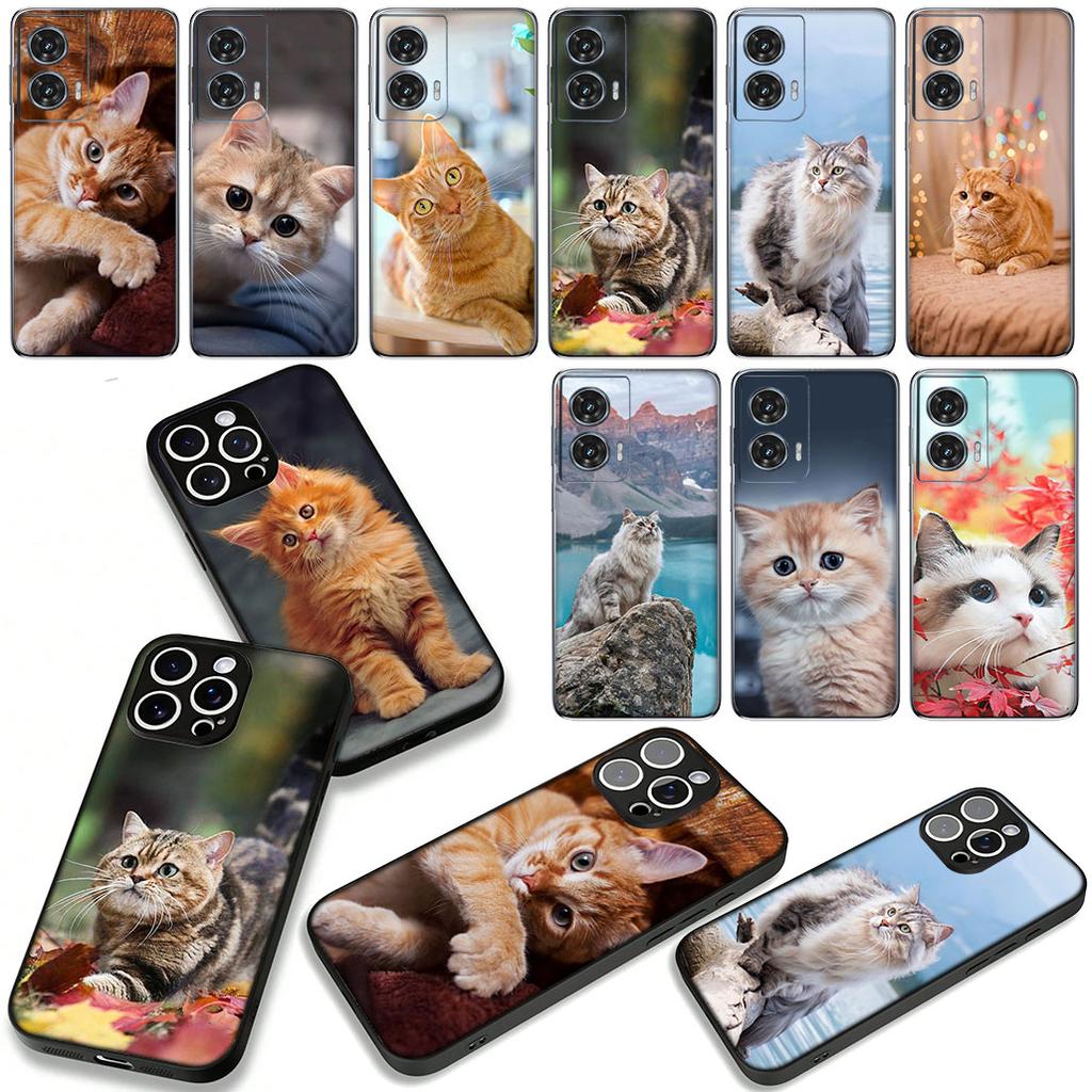 Kitten Cat Cover Phone Case for Samsung Galaxy A07 A13 A12 A14 A23 A42 A50 A51 A52 A53 A70 A71 A72 A21S A04 Note 20 9 8 10