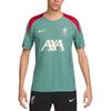 LiverpoolDri FIT ADV Soccer Jersey Men's Green FN9260-362