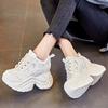 Inner Height Increase New Breathable Dad Shoes Platform Mesh Small Sports and Leisure Shoes