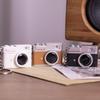 Mini Retro Camera Keychain with Light & Sound: Dual-Use Ornament for Kids