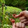 2pcs High-Quality Stainless Steel Wire Saw Lightweight Construction Stainless Steel Saw  Hiking