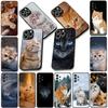 Soft Cover for Xiaomi Redmi Note 12 11 10 Pro 10A 10C 12C 14C A4 Note12 5G Coque Phone Case Meow Eyes Kitten Cat