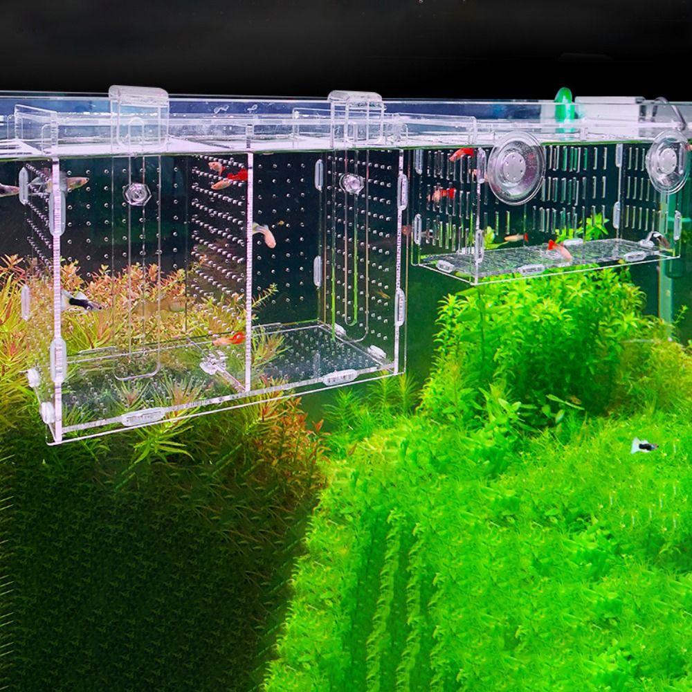 For Baby Fishes Aquarium Accessories Incubator Hatchery Fish Breeding Box Fish Separation Box