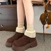 Winter New Velvet Thickened Thick Heel Martin Boots Women's Hair Warm Short Boots Snow Cotton Boots