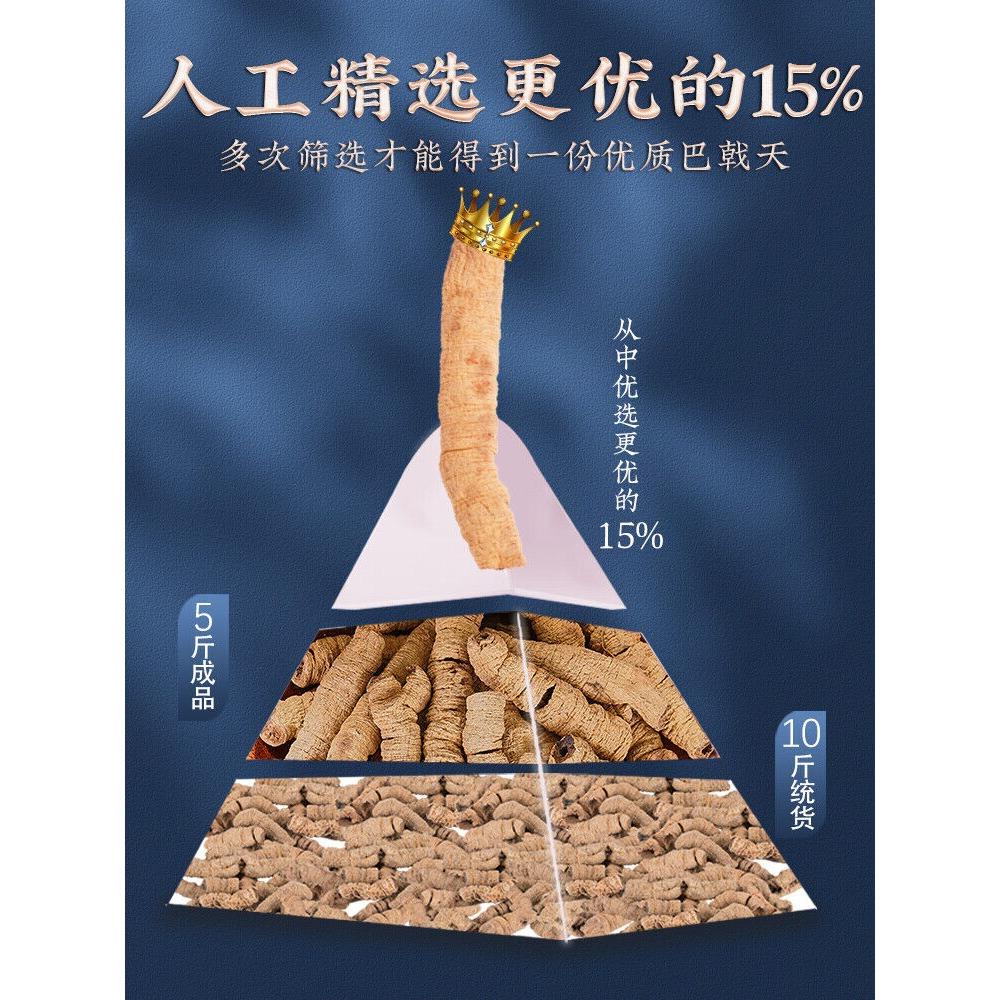 Organic Morinda Officinalis Herbal Tea 50g Natural Energy Boost Loose Leaf Chinese Green Tea for Men Women