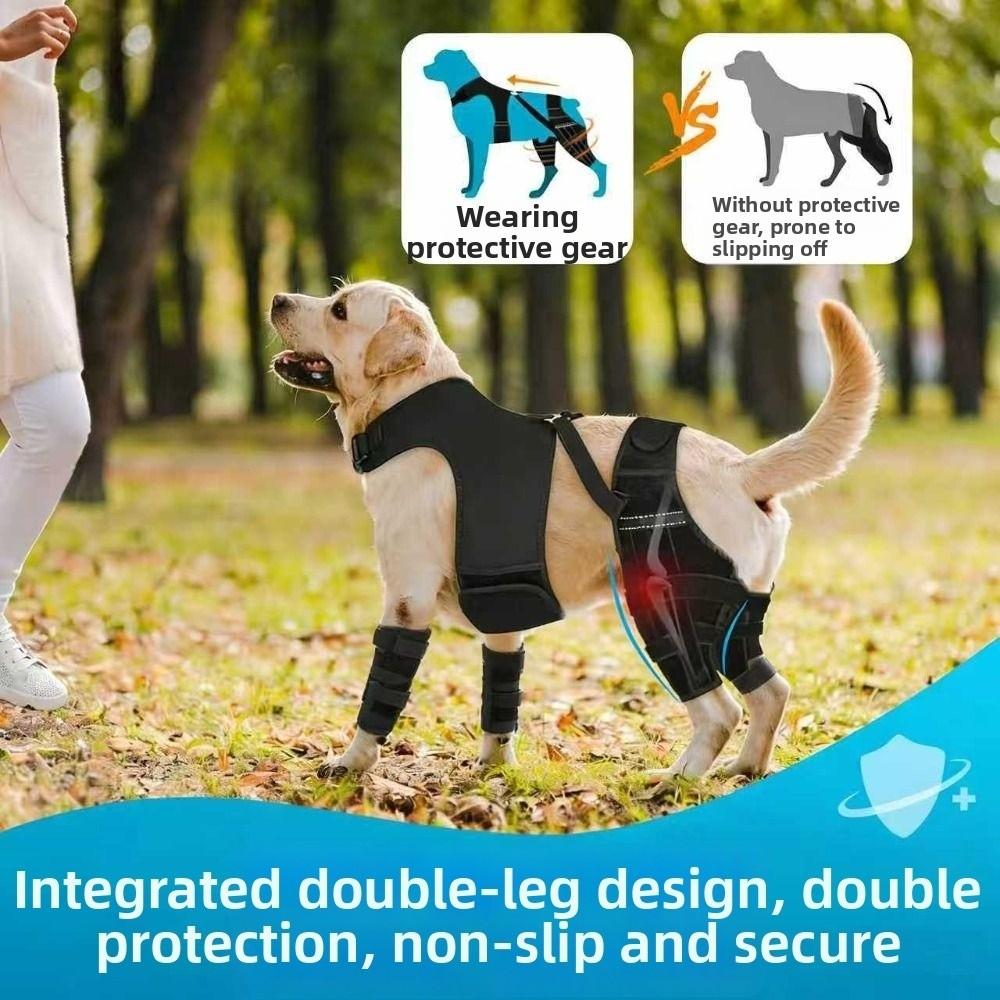 Anti-Licking Pet Leg Support Breathable Dog Rear Leg Brace  Post-Operation Care