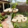 Bird Cage Perch Wood Parrot Platform Stand Monstera Leaf Flat Bird Perch with Pinecone for Cockatiels Conures African Greys Chewing Nail Trimming
