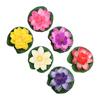 6pcs Artificial Pond Plants 6 Colors Lightweight Durable DIY Making Attractive Decorative Shooting