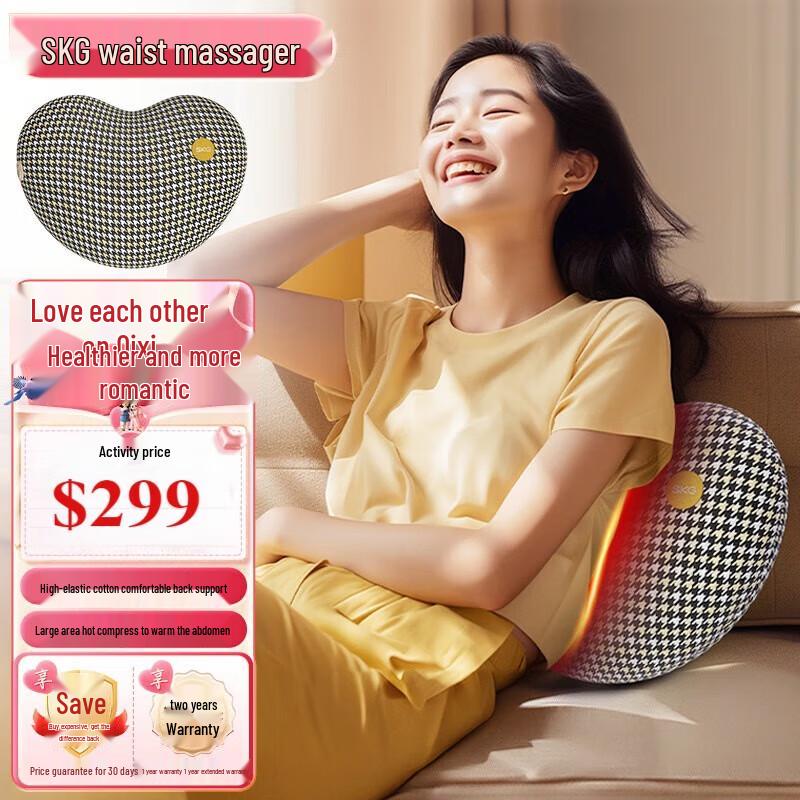 

SKG Heated Lumbar Support Pillow