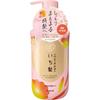 Ichigami Dense W Moisturizing Care Sp Perfume 450ml Kracie Home Products