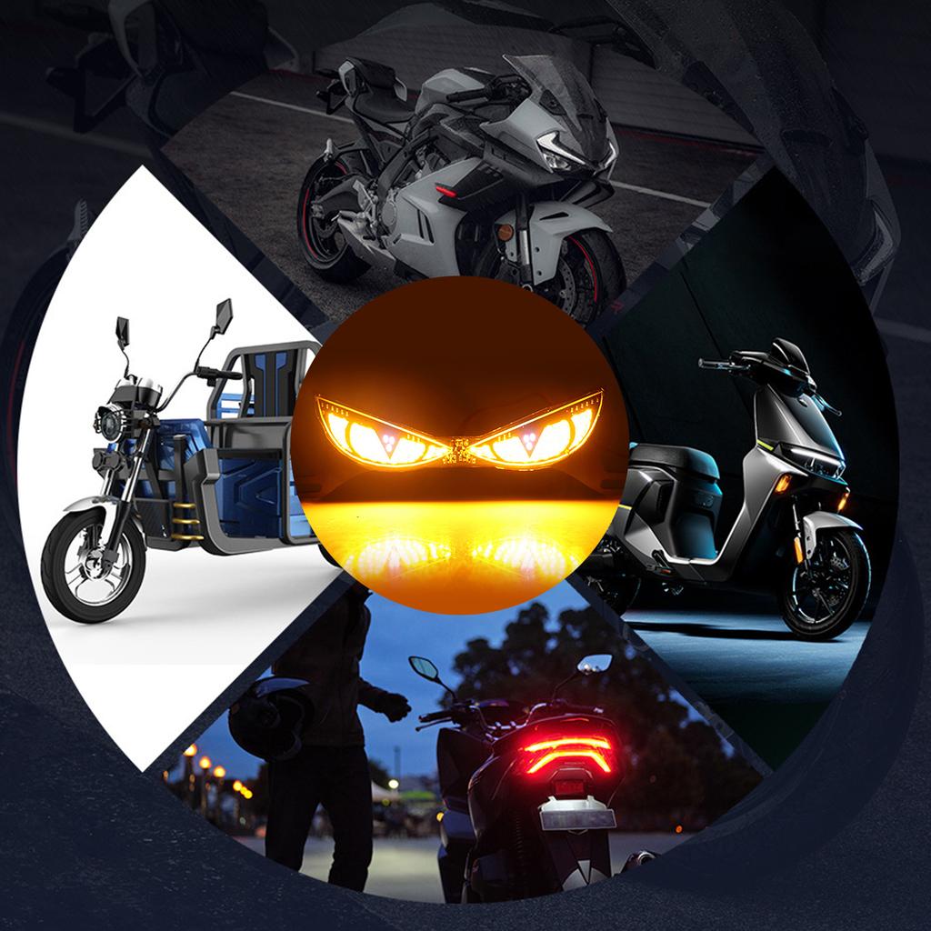 Motorcycle High Efficiency Acrylic LED License Plate Screw Lights Optimized For Maximumly Brightness And Heat Resistance